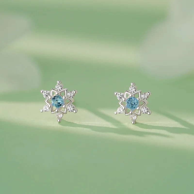 الأكثر مبيعًا: أقراط فضية S999 - مراجعة Women'S Accessories Jewelry Sale وسعره