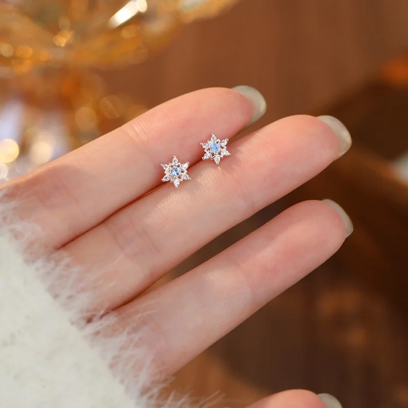 الأكثر مبيعًا: أقراط فضية S999 - مراجعة Women'S Accessories Jewelry Sale وسعره