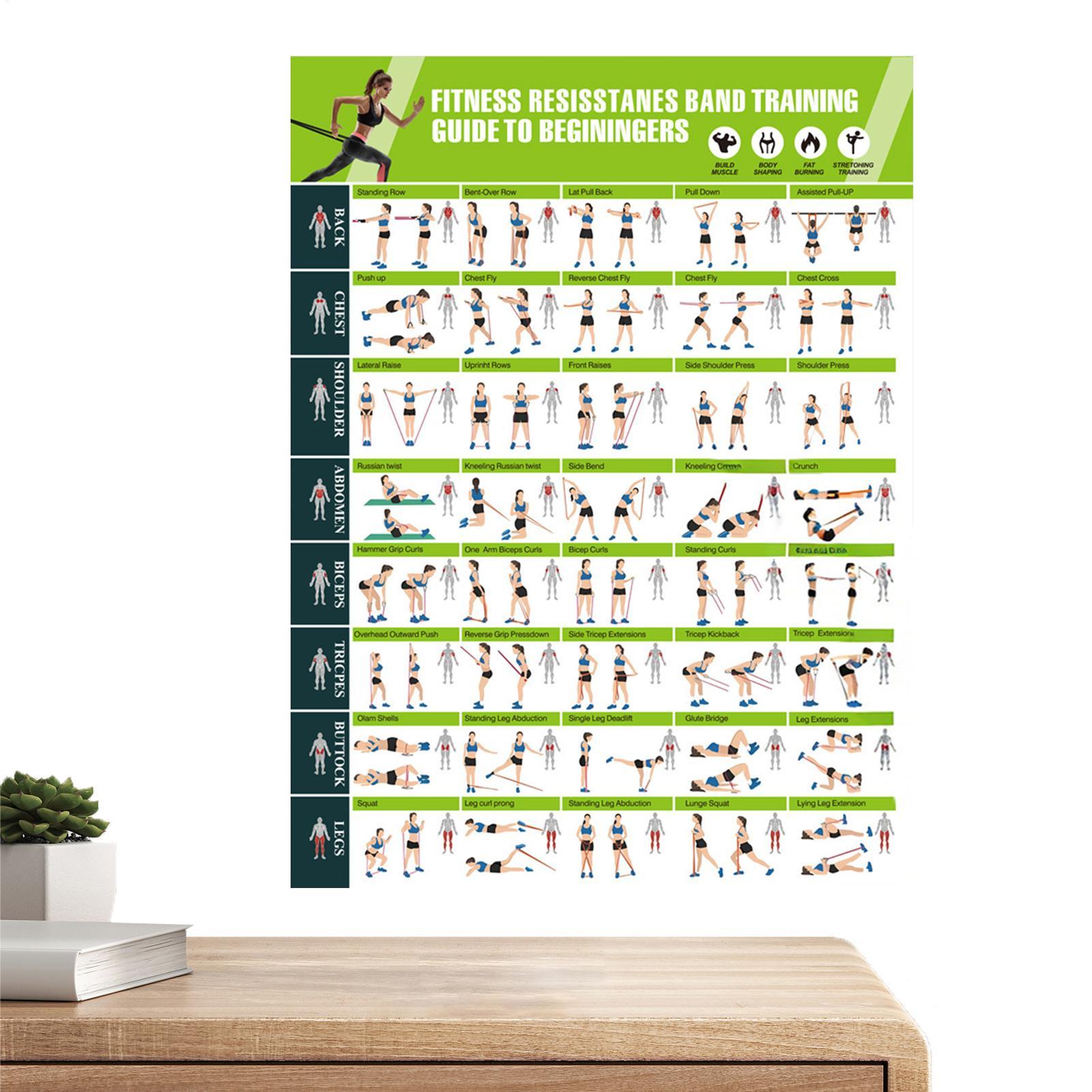 ملصقات تمارين رياضية، أربطة مق - مراجعة Women Accessories Poster وسعره